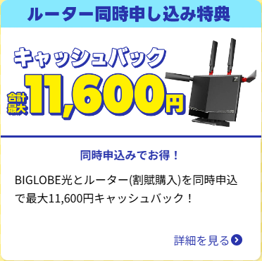 BIGLOBE光お申し込みサイト【オススメ光回線】-03-13-2026_07_19_PM (1)